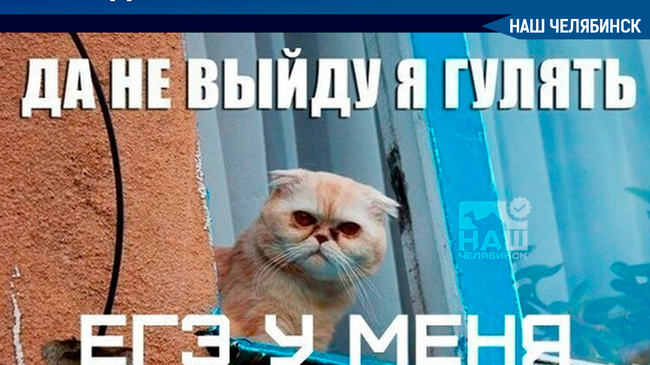 📚 Сегодня почти 4 000 выпускников Южного Урала сдают ЕГЭ по физике и истории. ✌🏻Всем желаем удачи и успешной сдачи экзаменов! 😉