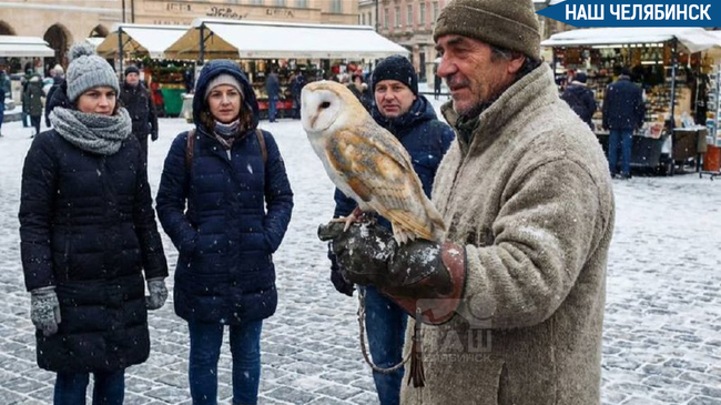 ❌ Уличные фотосессии с дикими животными запретят
