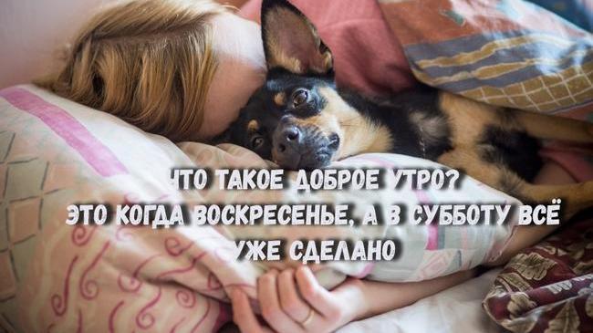 Всех с воскресеньем, друзья! 😉