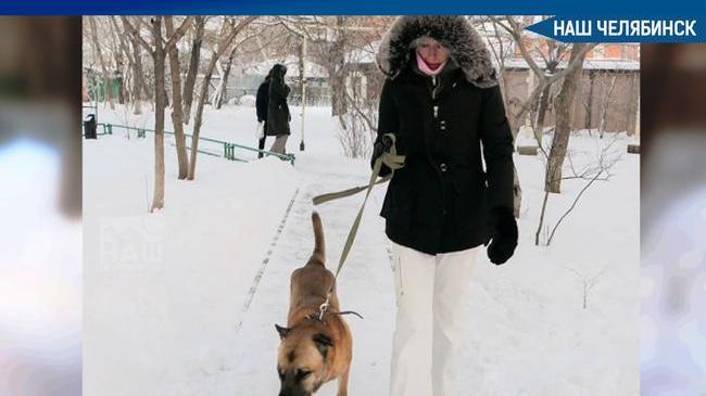 В Челябинске объявился хозяин пса Грея, которого оставили умирать