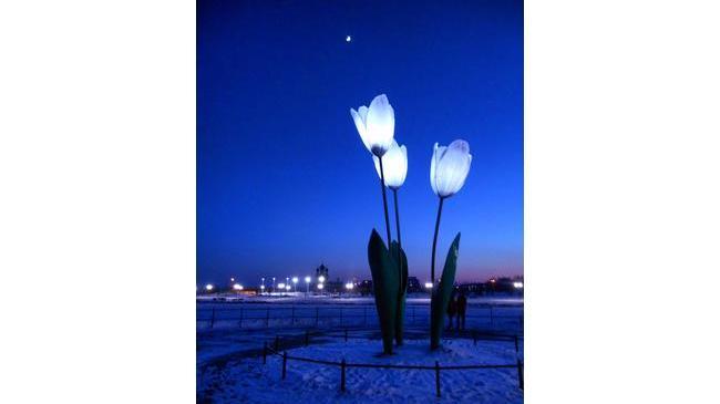 А говорят суровый... Посмотрите, красота-то какая! 🌷