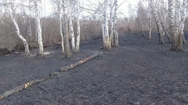 Полиция задержала жителя Кунашакского района, который устроил лесной пожар