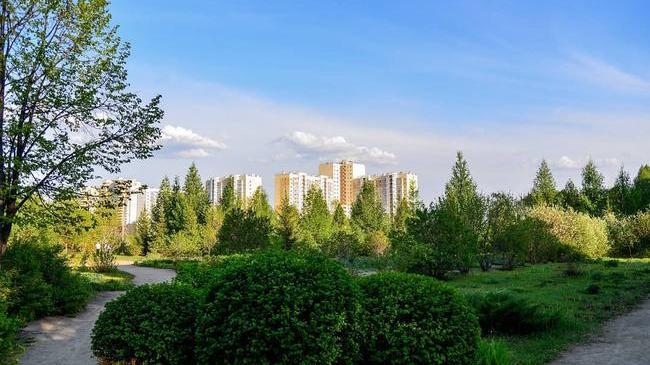 Доброе утро, Челябинск! 🌸 Смотрите какой красивый сад ЧелГУ! 😉