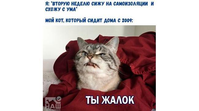 #eto@nashchelyabinsk #самоизоляциявчелябинске