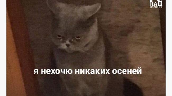 🥶 Челябинскую область накрыли аномальные холода