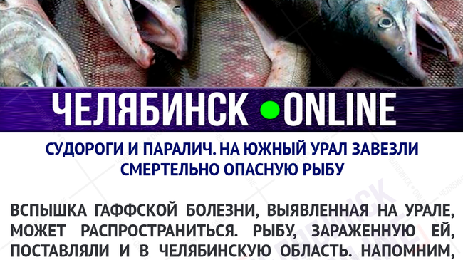 😱 На Южный Урал завезли смертельно опасную рыбу