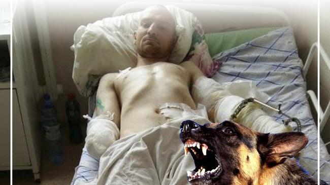 😰 Предпочла человека, а не корм: южноуралец остался без руки