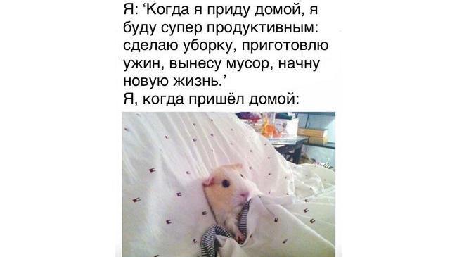 У вас так же? 😄