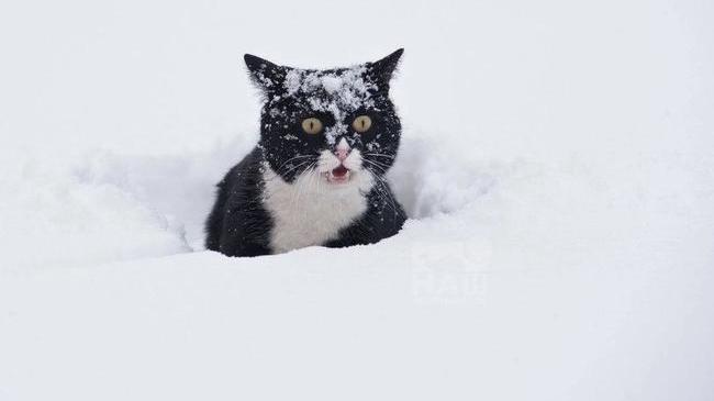 ❄ В Челябинской области ожидается неделя с метелями