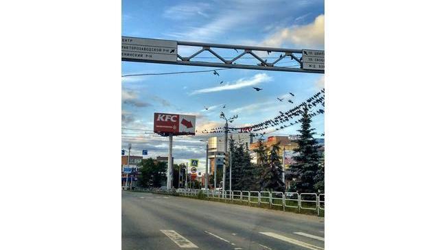 Голубиное нашествие на провода возле привокзальной площади 🦅