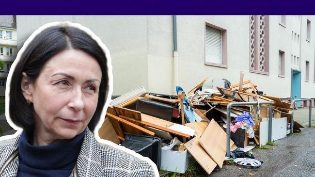 🌲 Наталья Котова поручила ввести дежурства в новогодние праздники и очистить город от мусора ❓ А вы довольны уборкой мусора? 