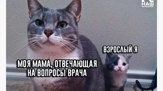 🌺 В Челябинске 13% жителей не собираются поздравлять своих мам с Днем матери