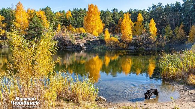 🍂 В честь третьего сентября - прекрасное осеннее фото карьера в городском бору. Покидайте в комментарии песен для осеннего настроения!