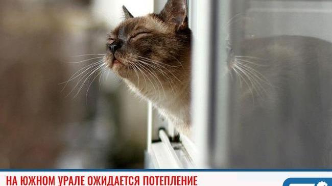 ☀ Синоптики прогнозируют плюсовую температуру в Челябинской области