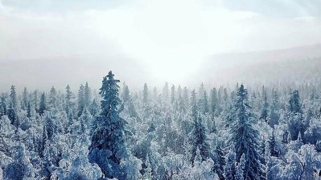❄️ Зимняя сказка на Таганае