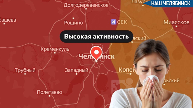 🤧 В Челябинске с 5 апреля ожидается повышенный уровень пыльцы ольхи