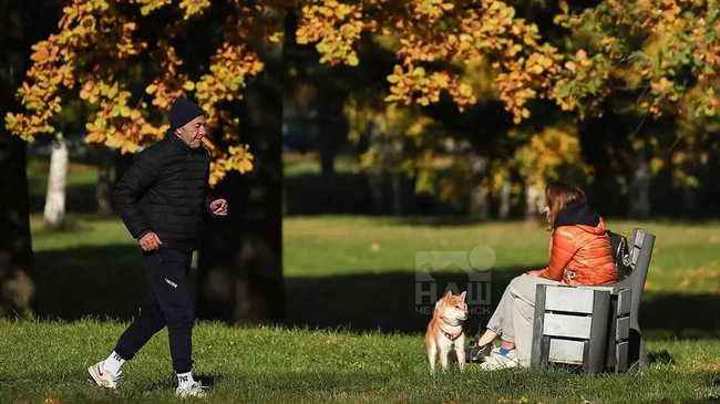 🍁Челябинск признан абсолютным чемпионом по частоте наступления бабьего лета 