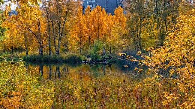 Доброе утро, Челябинск! 🤗