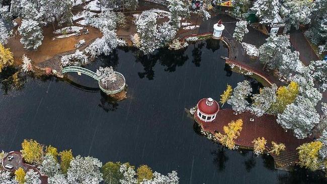 Парк Гагарина в снежном наряде: холодно и красиво ❄ Фото: Bird4К