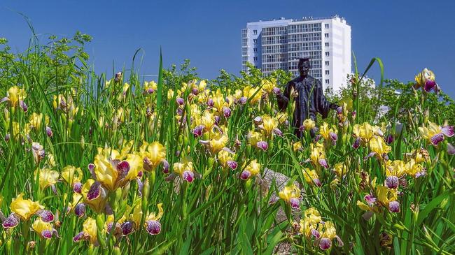 🌷Ботанический сад ЧелГУ🌺 Вы там бывали? Делитесь фотографиями в комментариях!