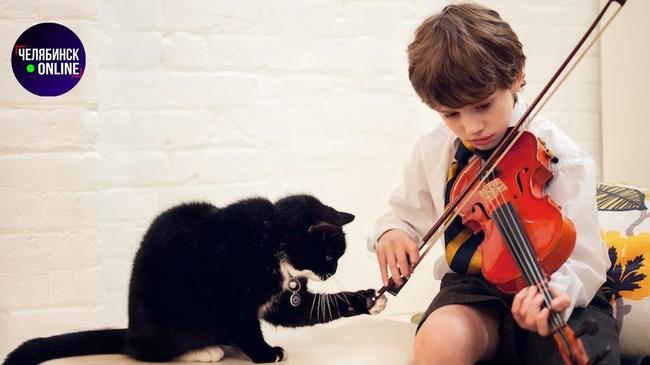 🎻 На челябинца завели административное дело из-за игры сына на скрипке