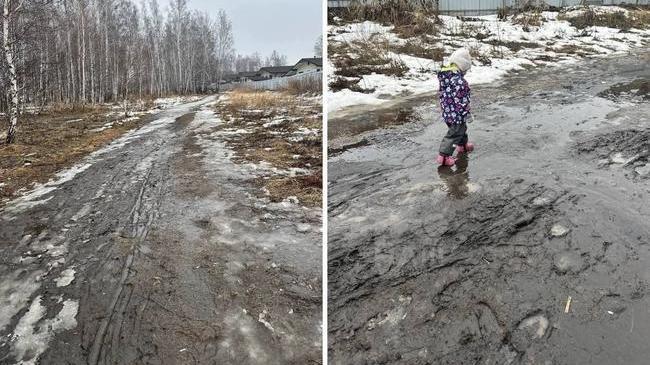 🫠 Жители микрорайона Звездный в Красном поле жалуются на состояние дороги к детскому саду