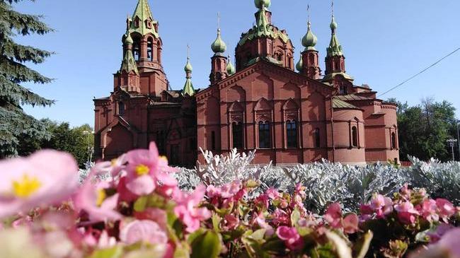 Алое Поле в солнечных лучах 🌸 Рассказывайте, как проходит ваш день? 