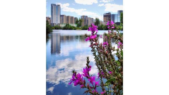 Летняя красота в Челябинске 🌸 😊 Узнаете место?