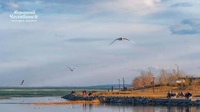 ☀ Доброе утро! Вот и пятница! Какие планы?