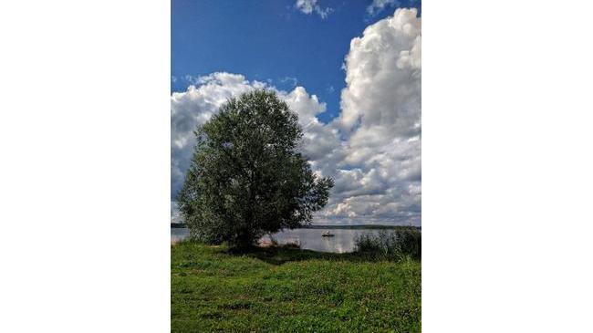 ☁ ​Облака над Шершнями