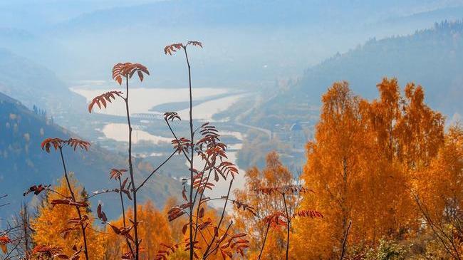 Доброе утро, друзья ☀️ 🍂 