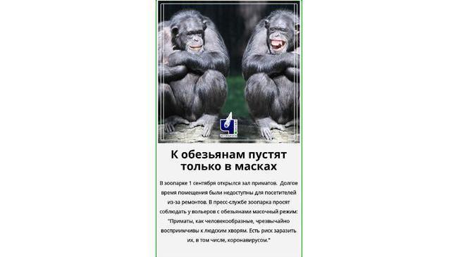 😷 В зоопарке масочный режим