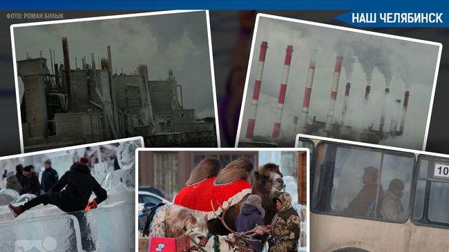 🎸 На днях в Челябинске состоялся концерт группы «Звери». 