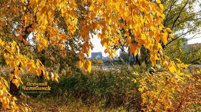 🌤 Доброе утро, Челябинск! Какие планы на день?