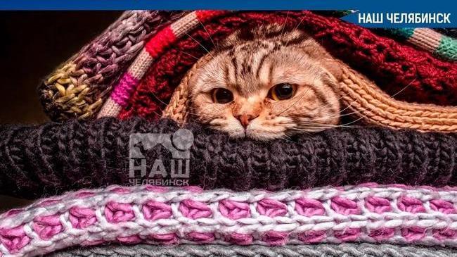 🥶 Челябинцы мерзнут из-за отсутствия тепла