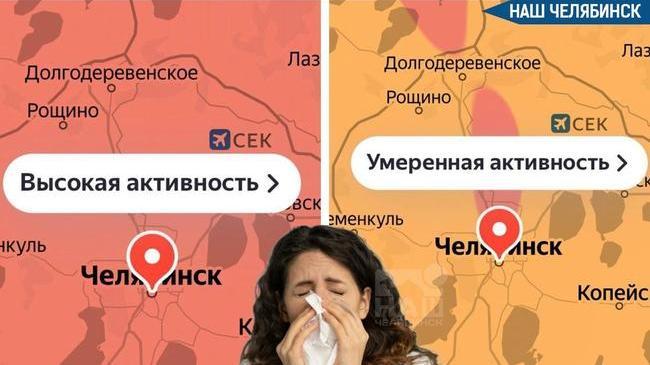 🤧 В воздухе зафиксирована высокая концентрация пыльцы берёзы и ольхи