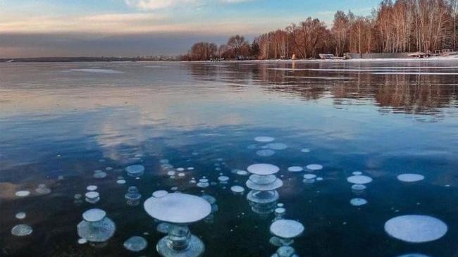 ❄ Ледяные медузы на Шершневском водохранилище. А что вам напоминают эти причудливые узоры? 🤔