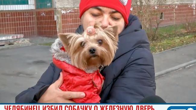 😱 Челябинец избил собачку о железную дверь. 