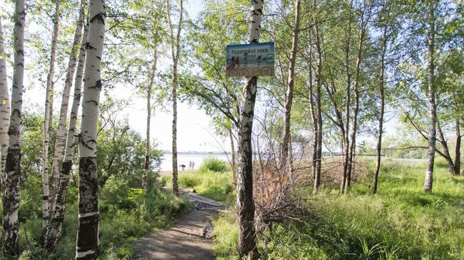 Фотограф сайта Telefakt побывал на нудистском пляже в Челябинске, которому уже более 30 лет