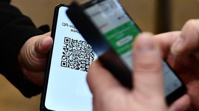Законопроект о QR-кодах в общественных местах принят Госдумой в I чтении