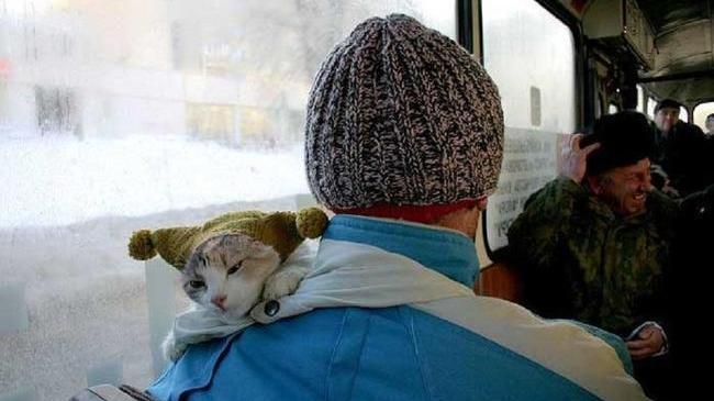 Одевайтесь теплее»: общественный транспорт Челябинска остался без отопления?
