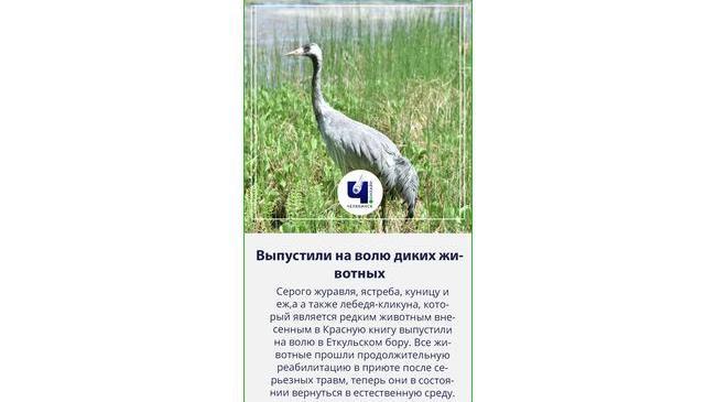 😃Отдохнули и подлечились, пора и домой