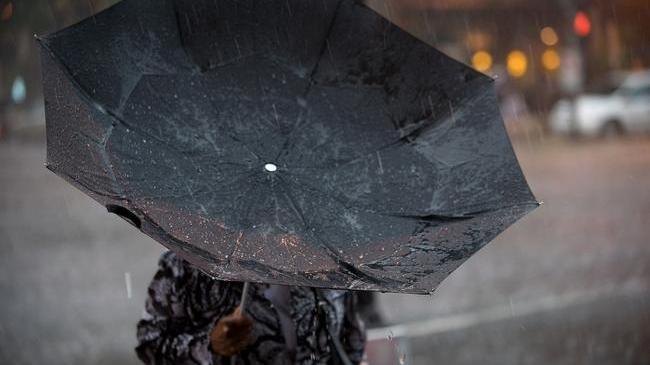 ❗ МЧС предупредило о грозе и шквалистом ветре на Южном Урале