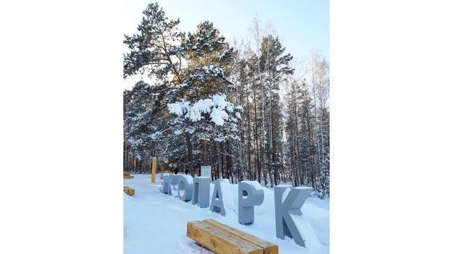 🌲Северо-Западный парк🌲