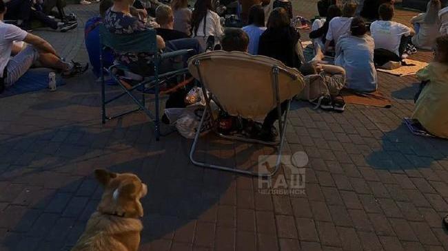 🍿 В Челябинске в Парке Гагарина открывается летний кинотеатр
