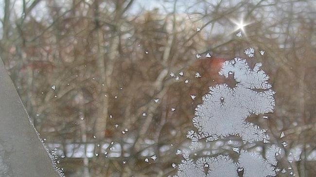 ❄ Морозная ёлочка на стекле 🎄 А вы уже поставили ёлку? Делитесь фото в комментариях!