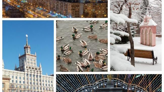 😎 ТОП-5 лучших видов Челябинска за неделю по мнению наших подписчиков☺ А какое фото вам нравится больше? 