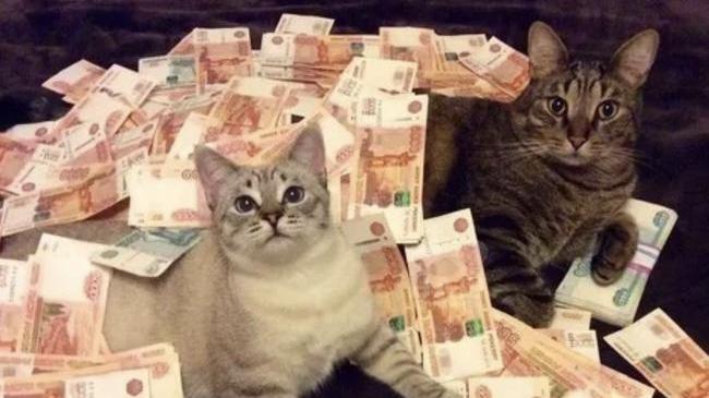 🤑 Астрологи выделили знаки зодиака, которые чаще становятся богатыми