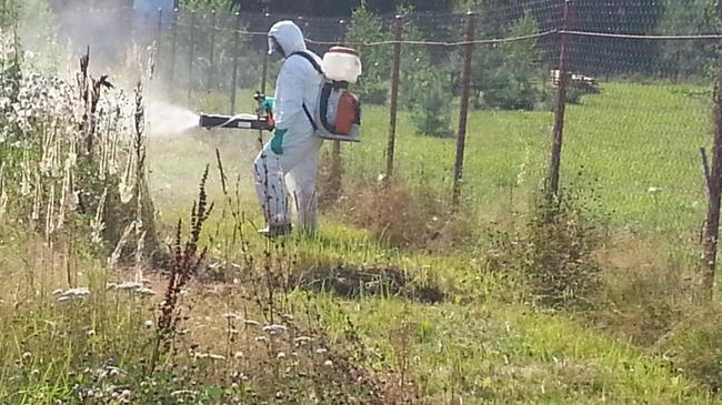 Обработка от клещей