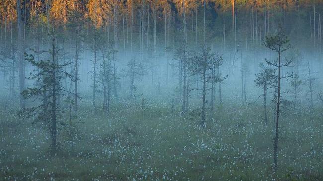 Доброе утро, Челябинск! Ежеутренная борьба ночи и дня ☕ Как настроение?
